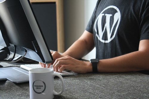 hire wordpress developer